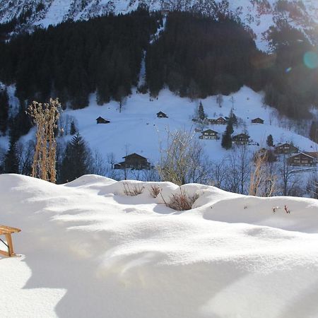 Chalet Pfingsteggblick グリンデルヴァルト エクステリア 写真