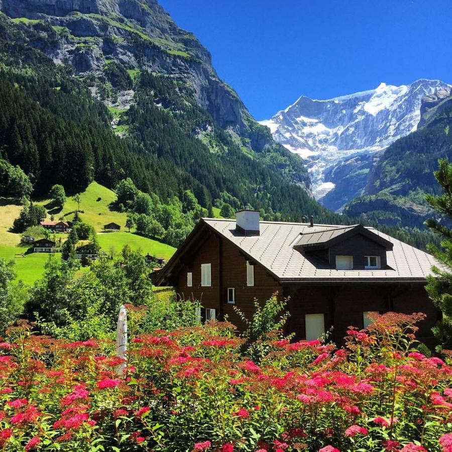 Chalet Pfingsteggblick グリンデルヴァルト エクステリア 写真