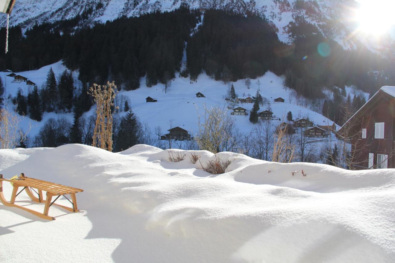 Chalet Pfingsteggblick グリンデルヴァルト エクステリア 写真