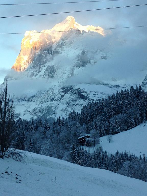 Chalet Pfingsteggblick グリンデルヴァルト エクステリア 写真
