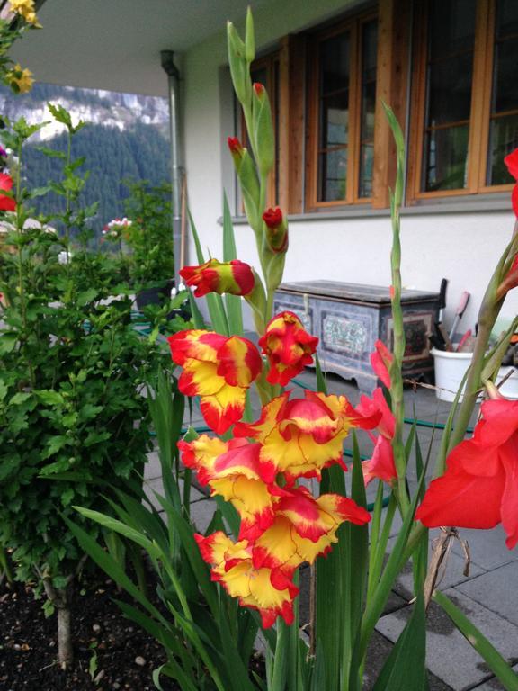 Chalet Pfingsteggblick グリンデルヴァルト エクステリア 写真