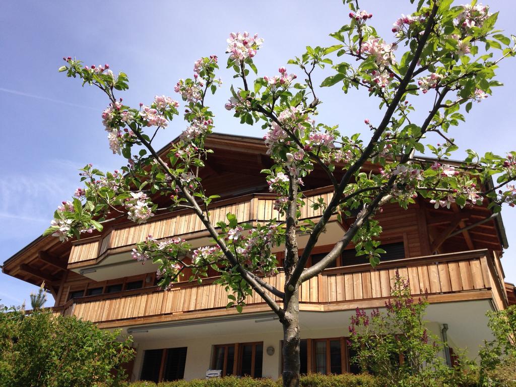 Chalet Pfingsteggblick グリンデルヴァルト エクステリア 写真